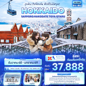 HOKKAIDO Sapporo Hakodate Toya Otaru 6วัน4คืน