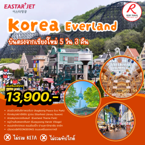 เกาหลี โซล Everland 5วัน3คืน