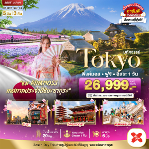 TOKYO พิ้งค์มอส ฟูจิ  5วัน3คืน